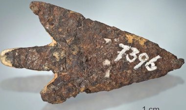 İsviçre’de Bulunan Tunç Çağı Ok Ucu, Göktaşından Yapılmış
