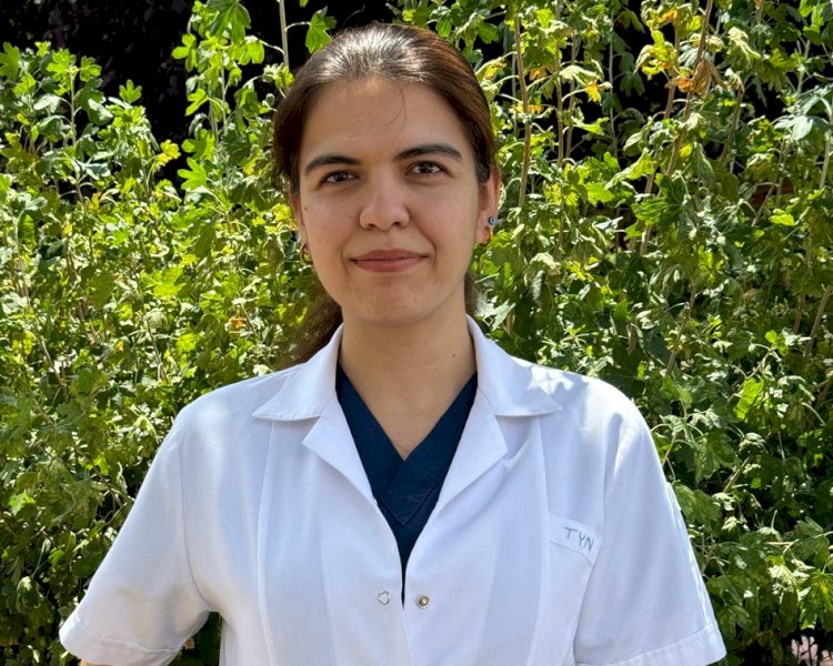Aile Hekimleri sorunları için Bakan Memişoğlu’na seslendi: Etkin ve etkili çözümler bekliyoruz