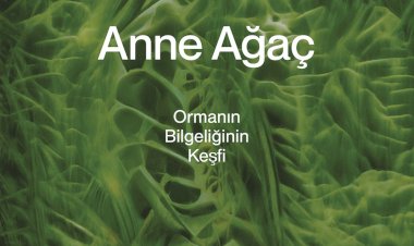 Ağaçların gizli dilini ilk keşfeden ekolojist Suzanne Simard, bu sırları Anne Ağaç: