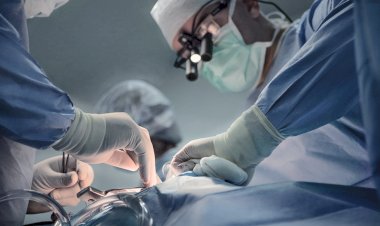 İstinye Üniversitesi dünyada sadece birkaç merkezde gerçekleştirilen "İzsiz Tiroidektomi" kursuna ev sahipliği yapacak