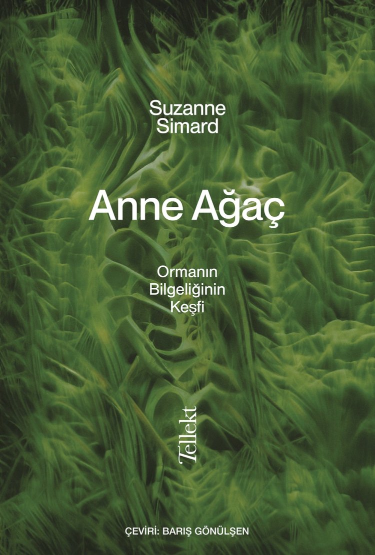 Ağaçların gizli dilini ilk keşfeden ekolojist Suzanne Simard, bu sırları Anne Ağaç: