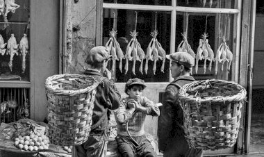 ARA GÜLER MÜZESİ’NİN MACARİSTAN’DAKİ İLK SERGİSİ “ON LIFE”