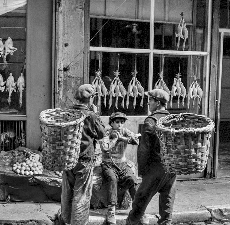 ARA GÜLER MÜZESİ’NİN MACARİSTAN’DAKİ İLK SERGİSİ “ON LIFE”