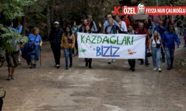 Yargı kararı gelmeden Kazdağlarındaki ağaç kesimi başladı...