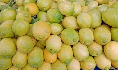 Limonun Faydaları nelerdir