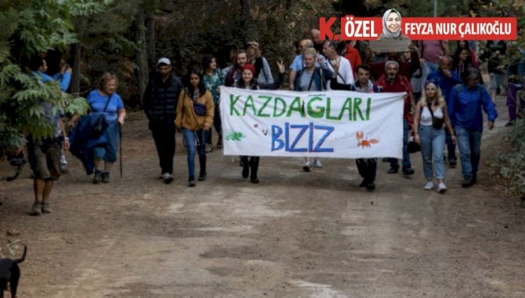 Yargı kararı gelmeden Kazdağlarındaki ağaç kesimi başladı...