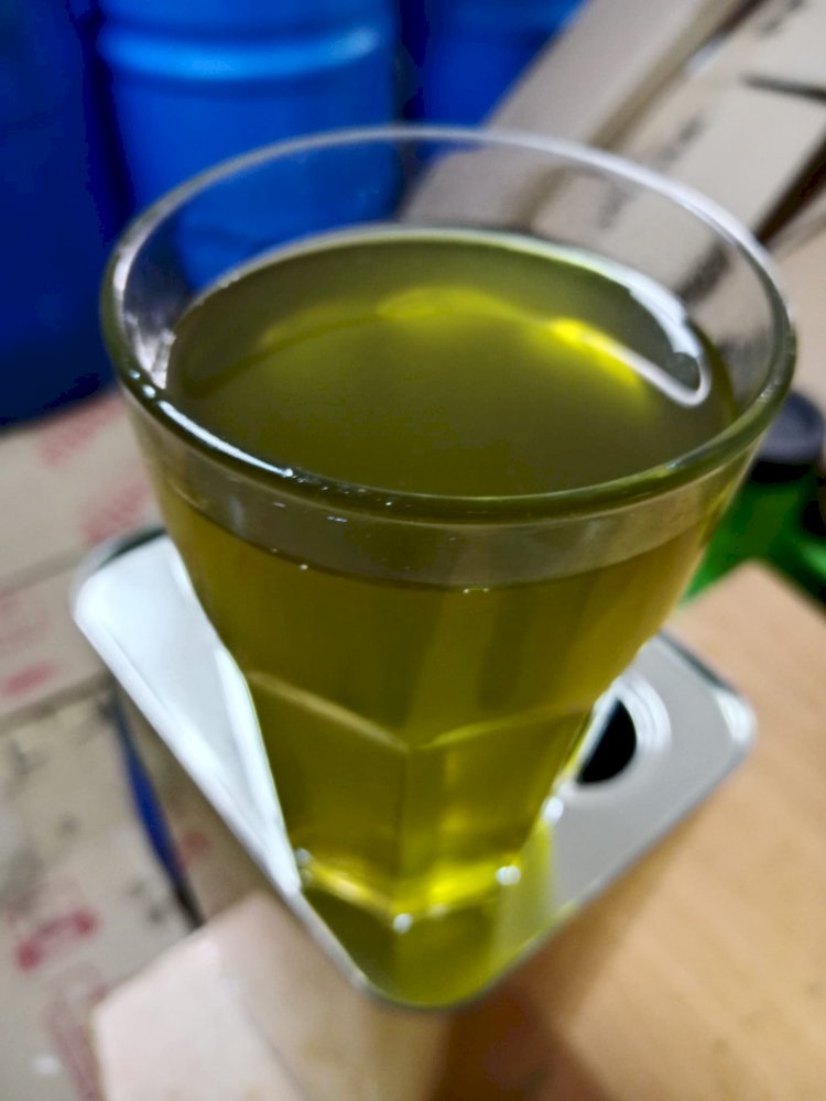 Erken hasat soğuk sıkım zeytinyağının özellikleri nelerdir