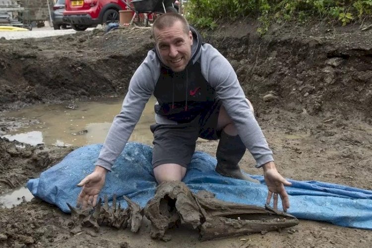 Bir Adam Arka Bahçesinde 8.000 Yıllık Yunus İskeleti Buldu