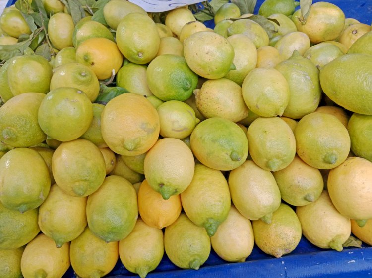 Limonun Faydaları nelerdir