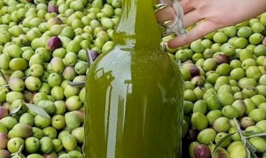 BİR ÇİFTÇİNİN ZEYTİNYAGI HESABI