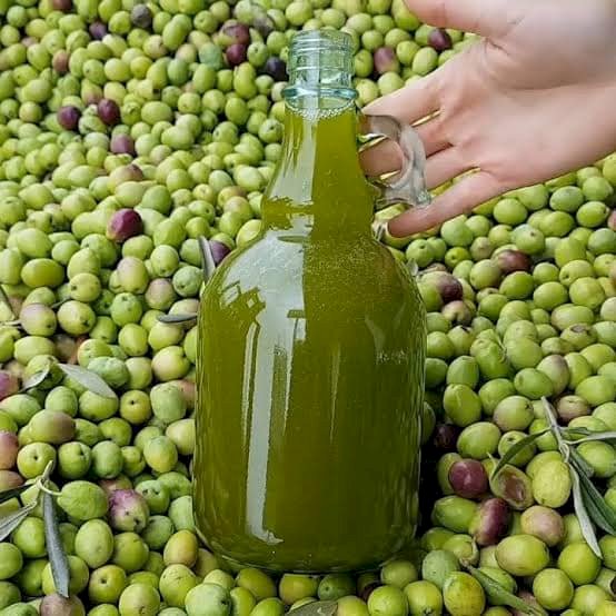 BİR ÇİFTÇİNİN ZEYTİNYAGI HESABI