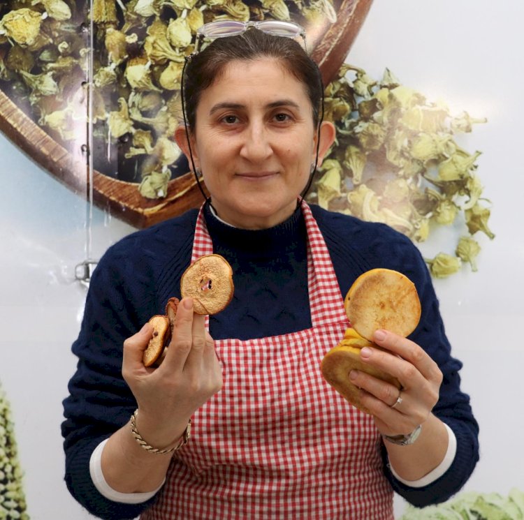 HÜNERLİ ELLERDEN GEÇEREK 4 TON AYVA KURUTULDU.