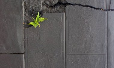Bir buçuk | 2025’in arananı “kalıcı beceriler”