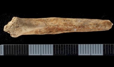 Roma Britanyası’nda İlginç Bir Ritüel Nesnesi: Boyanmış Penis Kemiği