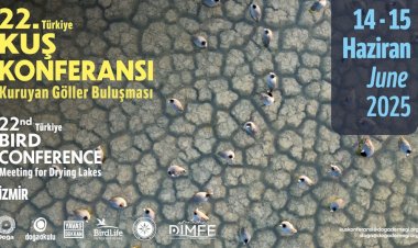 Sulak Alan Kaybı Büyüyor: Ekosistemler ve Biyolojik Çeşitlilik Tehlikede