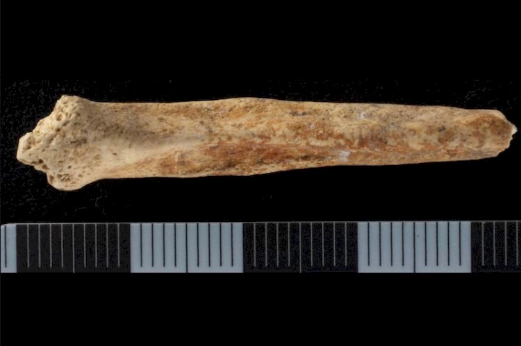 Roma Britanyası’nda İlginç Bir Ritüel Nesnesi: Boyanmış Penis Kemiği