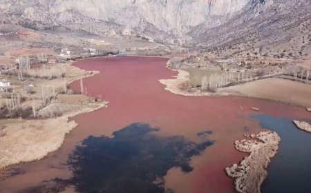 Çekerek Irmağı'nda kirlilik alarmı