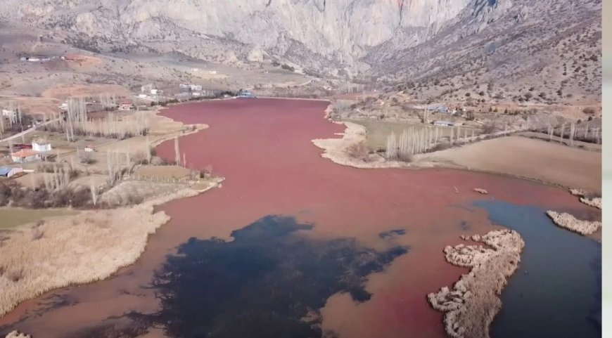 Çekerek Irmağı'nda kirlilik alarmı