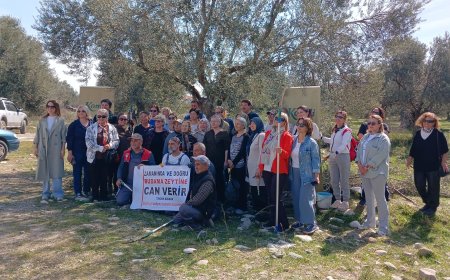 Edremit’te Zeytin Budama Eğitimi Yoğun İlgi Gördü