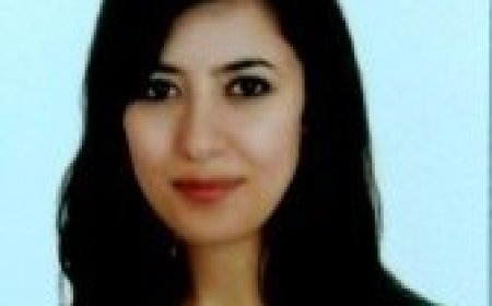 Hukukun Sınırları ve Yanlışın Doğruya Dönüşmesi: "Unvan" Tartışması