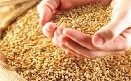 Halil ve İbrahim’in Hikâyesinden İlhamla: Bereketin Adı Bu Topraklarda Yaşıyor