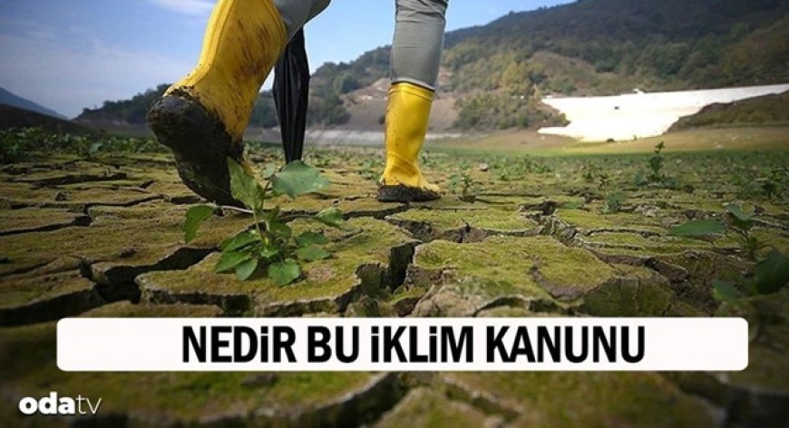 Türkiye'nin kafasını karıştıran gündem: İklim Kanunu nedir, ne değildir...