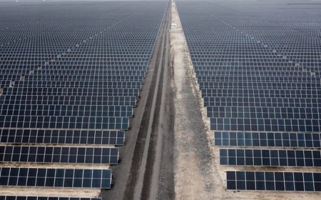 Güneş enerjisi rekor kırdı, elektrik fiyatları eksiye düştü