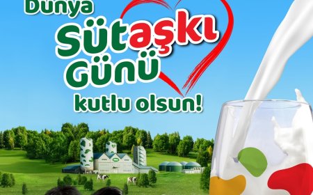 Sütaş’tan Dünya Süt Günü Mesajı: Sütün Bereketi Türkiye’nin Geleceğine Katkı Sağlıyor