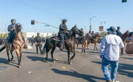 Los Angeles'taki eylemler: California Valisi, Trump'ı dava ediyor