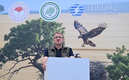 Trakya’da Leylekler ve Şah Kartal İçin Seferberlik Başladı