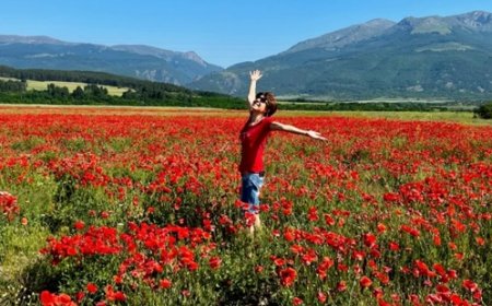 Gül Festivali Bahane, Bulgaristan’ı Keşif Gezisi Şahane!-Güller ve Krallar Vadisi: Kazanlık Gül Festivali