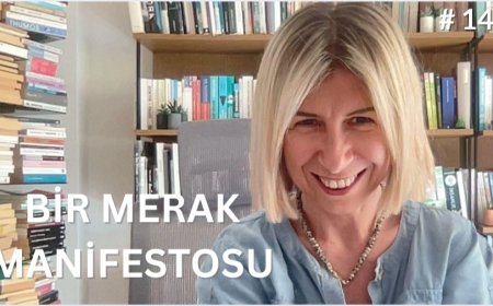 BİR MERAK MANİFESTOSU DENEMESİ