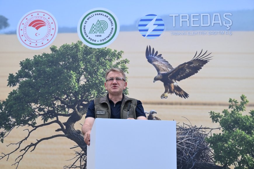 Trakya’da Leylekler ve Şah Kartal İçin Seferberlik Başladı