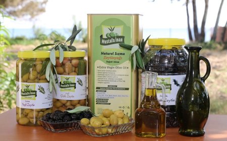 SÜPER KAMPANYA: Soğuk Sıkım Zeytinyağı SADECE 350 TL!