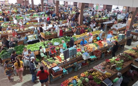 Brezilya’nın Sebze Pazarları: Kültür, Ticaret ve Tedarik Zincirinin Kalbi