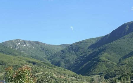 Boğalı Dağı’nda Maden Tehlikesi: Bir Doğa Cenneti Yok Olma Riskiyle Karşı Karşıya