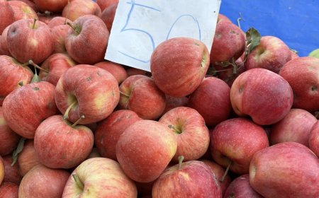 Amasya’da Bahçeleriçi Semt Pazarı Yaz Meyveleriyle Renkleniyor