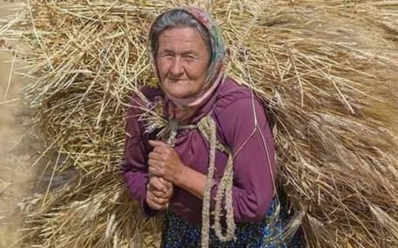 Ekmek İsrafı Türkiye’de Gündemde: Anadolu Kadınının Emek Dolu Hasadı Unutuluyor