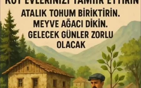 Köyler Yeniden Değer Kazanıyor: Uzmanlardan Toprak ve Tohum Uyarısı