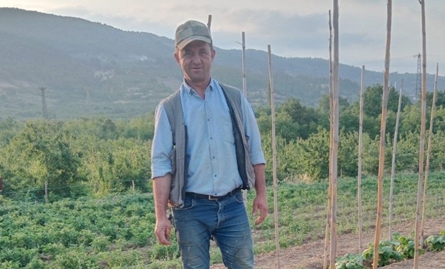 Doğal Yöntemlerle Yetiştirilen Ayşe Kadın Fasulyesi, Eylül’de Sofralarda