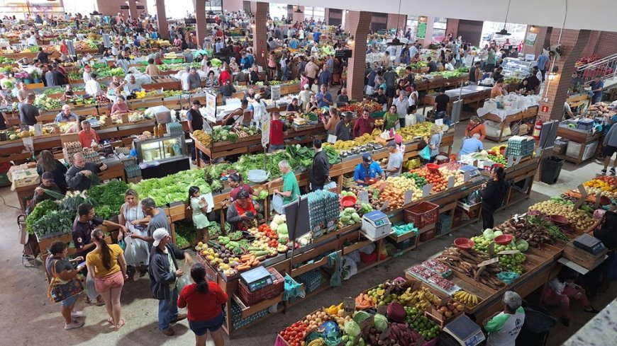 Brezilya’nın Sebze Pazarları: Kültür, Ticaret ve Tedarik Zincirinin Kalbi