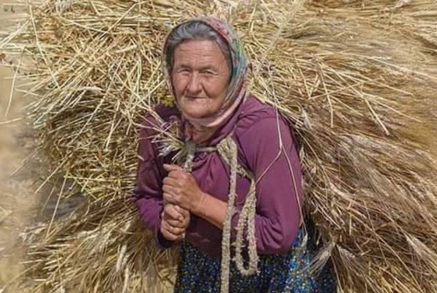Ekmek İsrafı Türkiye’de Gündemde: Anadolu Kadınının Emek Dolu Hasadı Unutuluyor