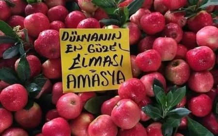 Dünyanın En Güzel Elması: Amasya Elması