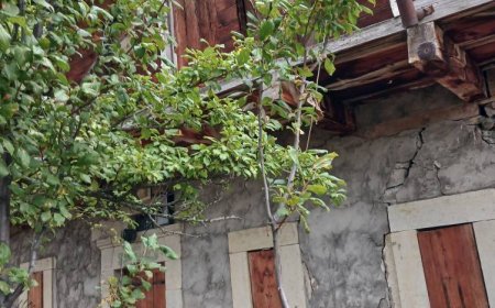 Ozan Arif’in Alucra’daki Evi Kültür Evi Olmalı