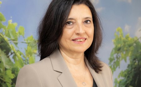 Evde Sirke Yaparken Dikkat: Fermantasyon Hataları Sağlık Riski Taşıyor