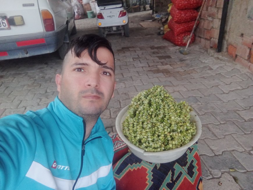 Amasya Bamyasında Emek ve Zorluklarla Gelen Bereket