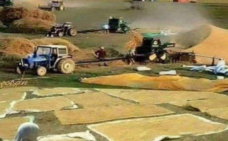 Bozkırın Ritüeli: Patozun Tozu, Emekçinin Ağız Tadı