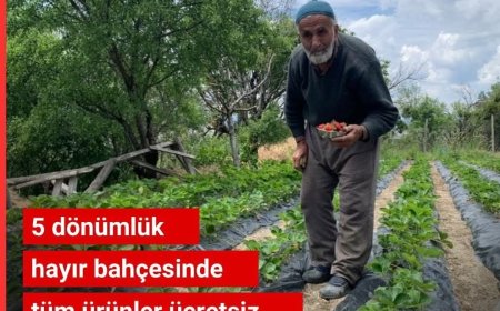 CENNET GİBİ BİR BAHÇE: ÜRÜNLER BEDAVA, MİSAFİRLİK SONSUZ