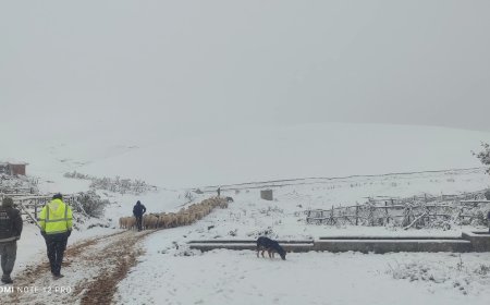 Amasya Taşova’ya Yılın İlk Karı Düştü