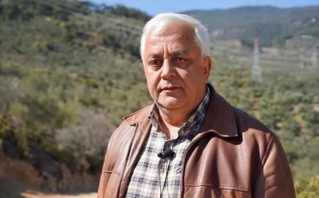 Zeytinliklerde Hırsızlık ve İzinsiz Hasat Alarmı